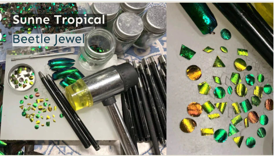 Jewel Beetle Wings UNDRILLED NO-HOLE 100 Pcs Natural Wings - Circle 3 MM