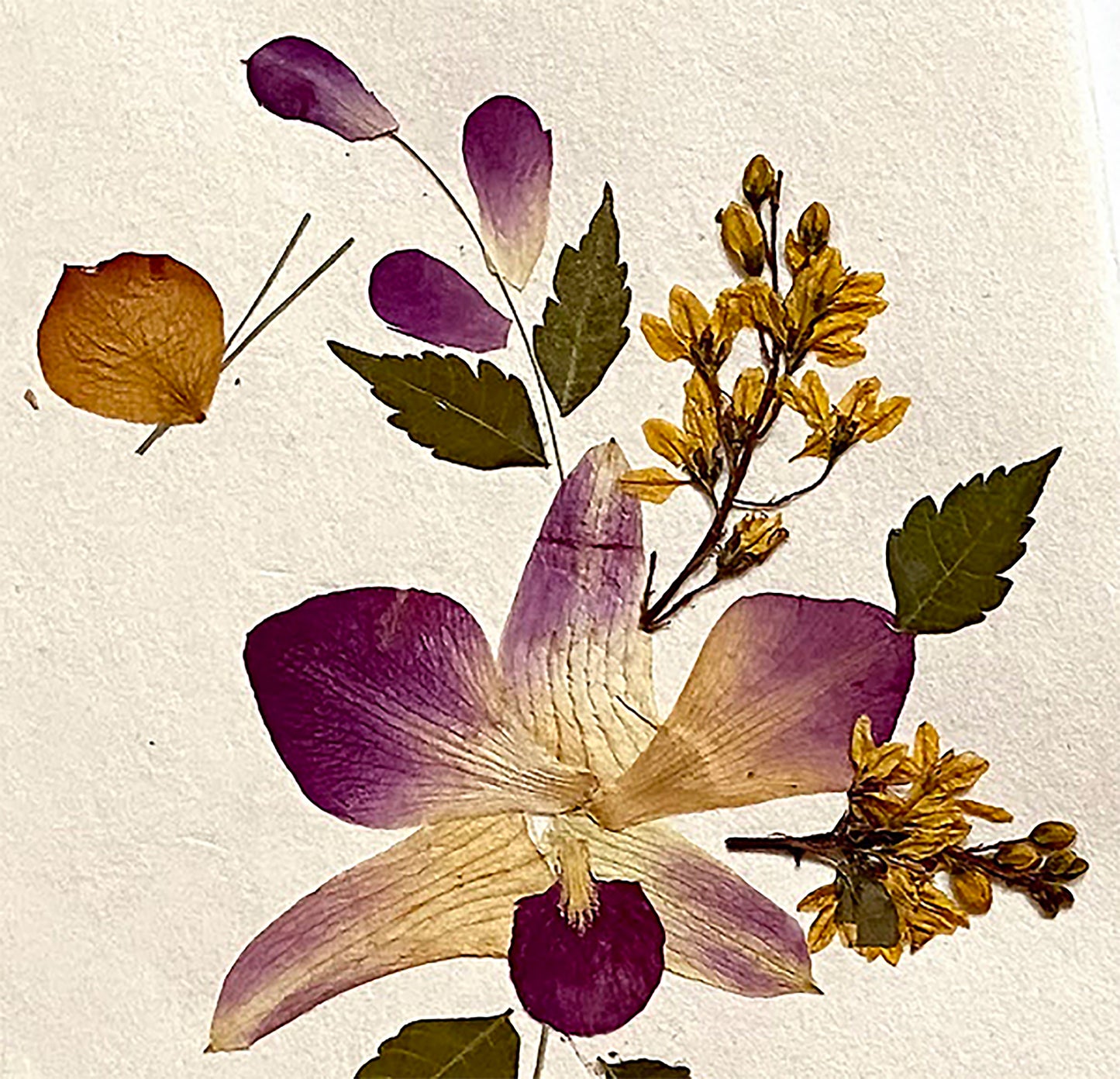 Handmade Mulberry Paper Greeting Card  5x7 Inch Random Pack (3 Orchid Sonia)