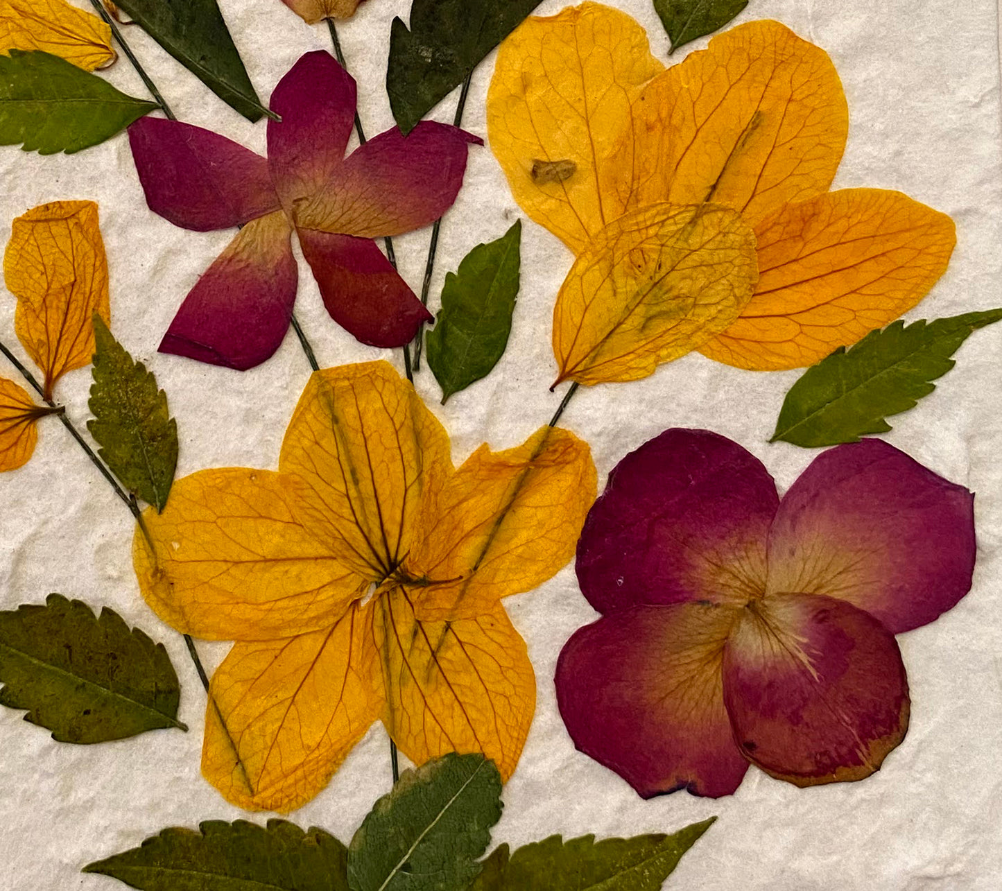 Handmade Mulberry Paper Greeting Card  5x7 Inch Random Pack (3 Yellow Wild Flower)