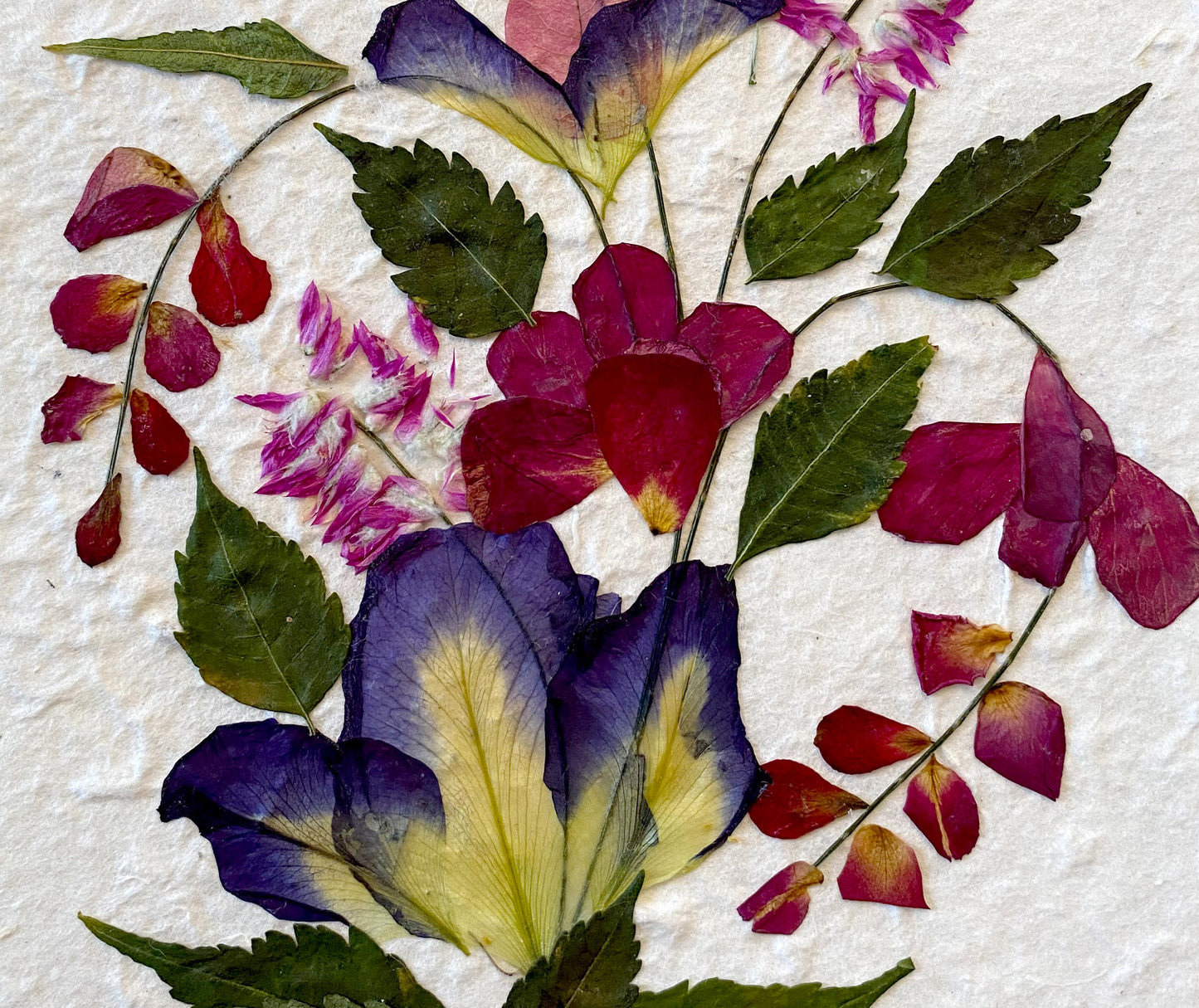 Handmade Cards 5x7 inch Real Dried Flowers Random Pack (3 Butterfly BLUE PEA)