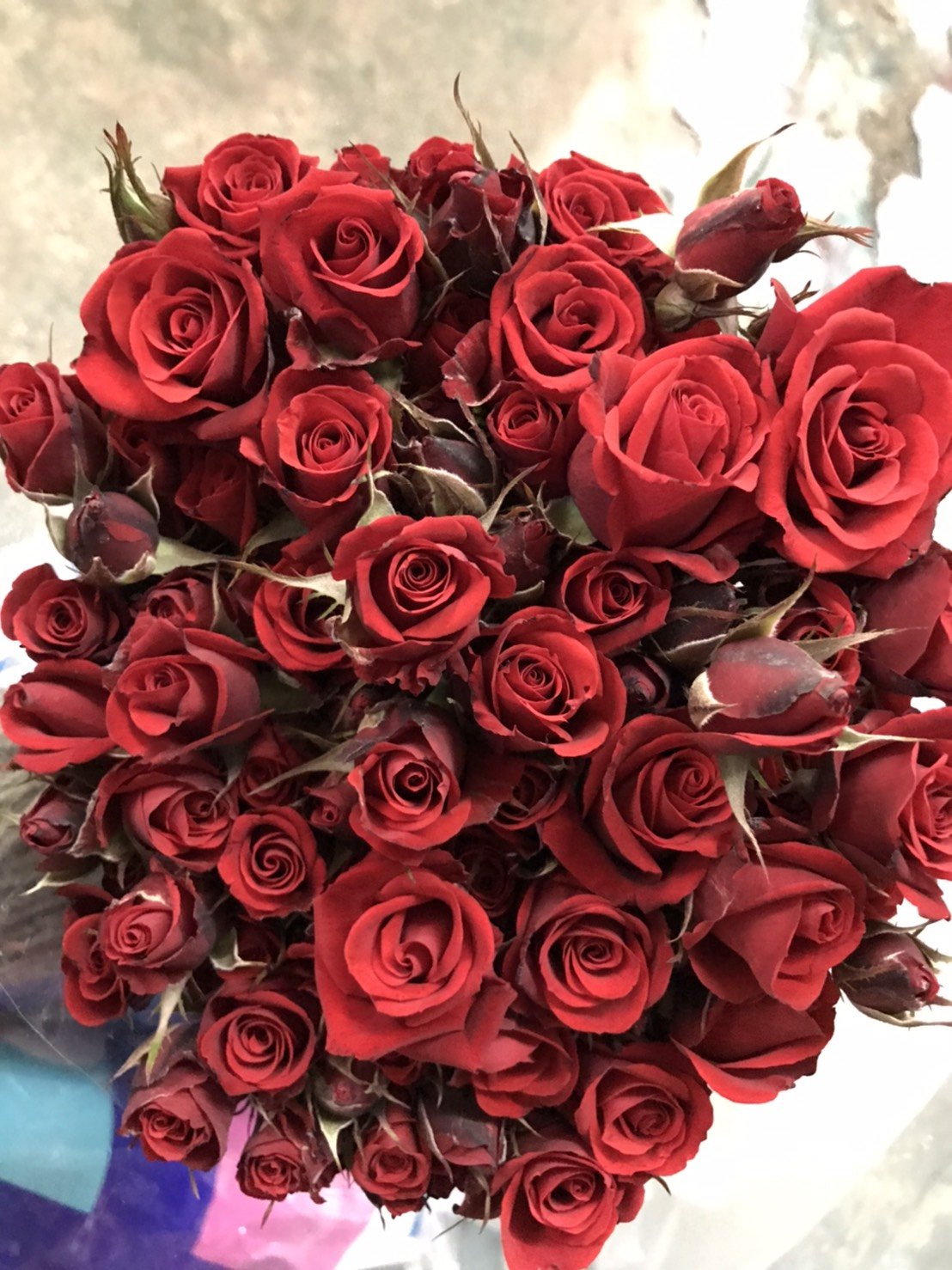 Mini Rose Mini 1.5-2.25 inch Pendant Necklace 18 inch Gold Plated 24K (Purple Lilac)