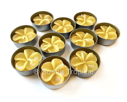 Plumeria Hawaiian Flower Set of 10 Tealight Candles (Yellow)