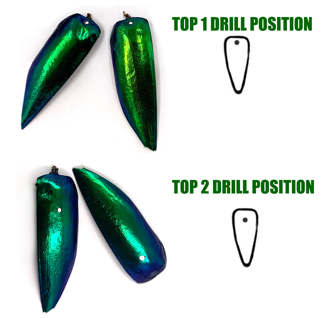 Jewel Beetle Wings DRILLED with HOLE 100 Pcs Natural Wings - REDDISH Green TOP 2