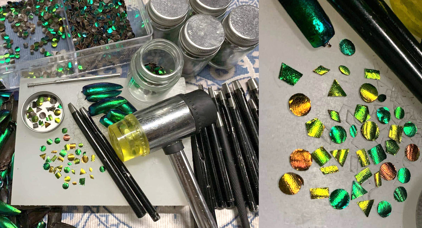 Jewel Beetle Wings UNDRILLED NO-HOLE 100 Pcs Natural Wings - Marquise 1 cm x 0.5 cm