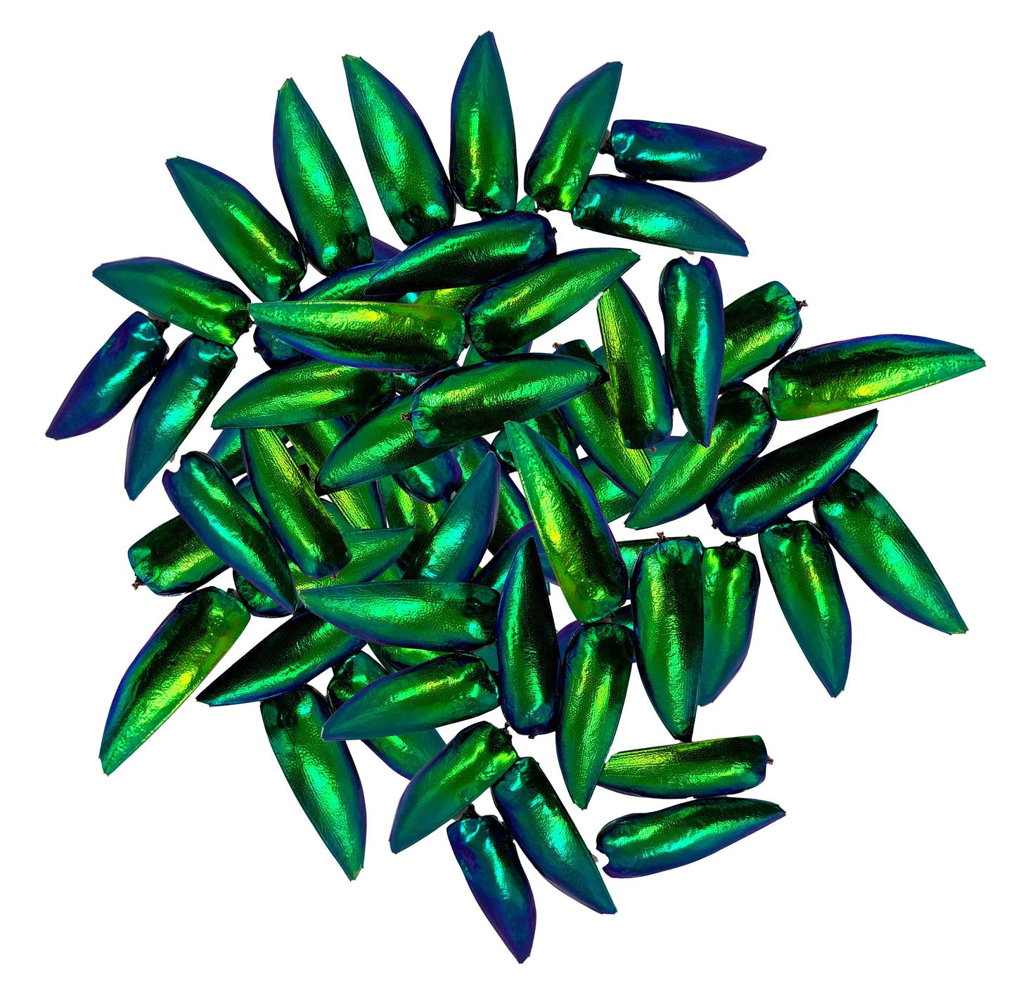 Jewel Beetle Wings UNDRILLED NO-HOLE Taxidermy Beads (200 Wings)
