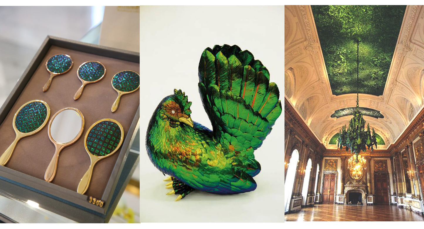 Jewel Beetle Wings UNDRILLED NO-HOLE Taxidermy Beads (500 Wings)