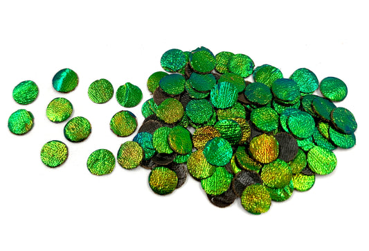 Jewel Beetle Wings UNDRILLED NO-HOLE 100 Pcs Natural Wings - Circle 8 MM