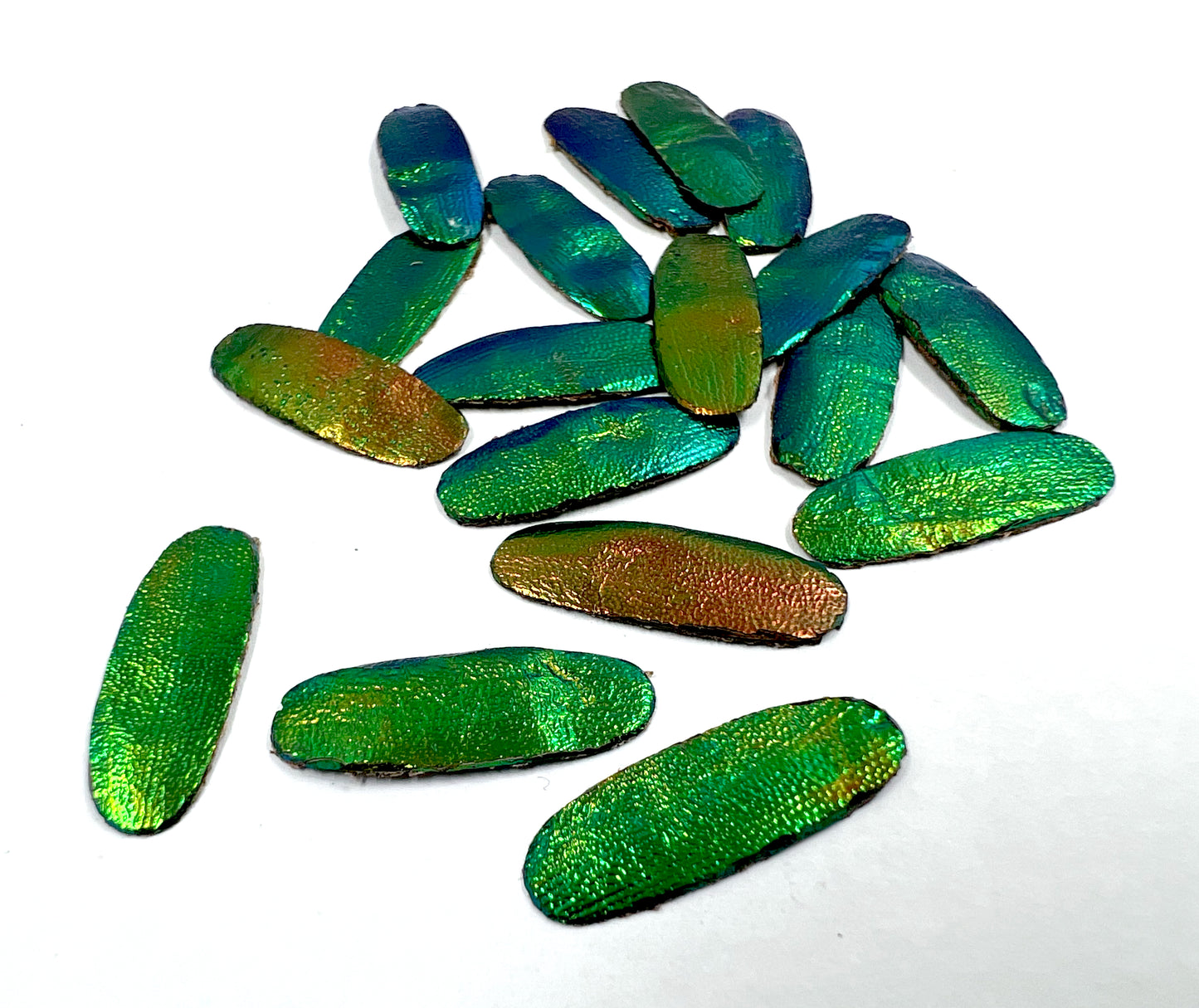 Jewel Beetles Wings UNDRILLED NO-HOLE 100 Pcs for Art & Craft (Tile Round 1 X 2 CM)