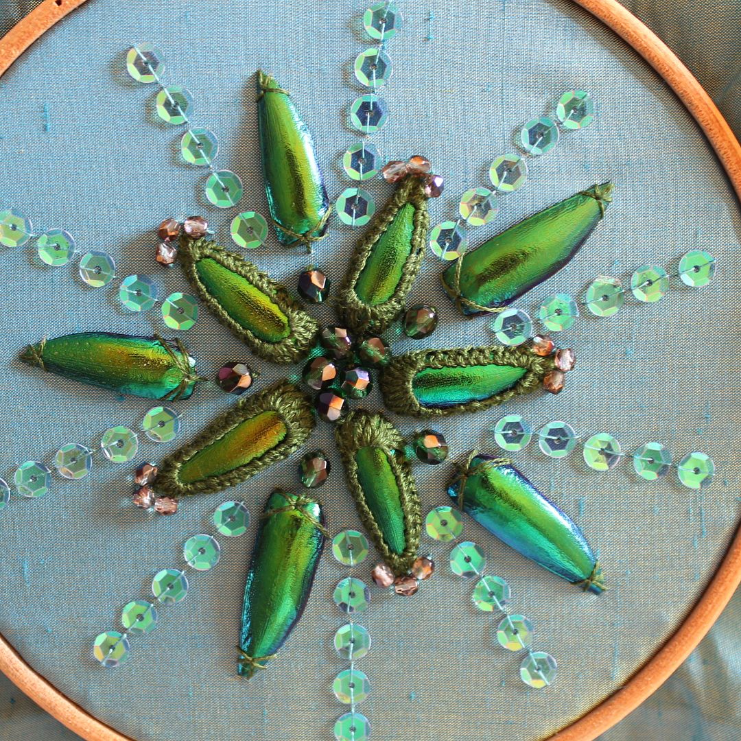 Jewel Beetle Wings DRILLED with HOLE 100 Pcs Natural Wings - Green 2holes B