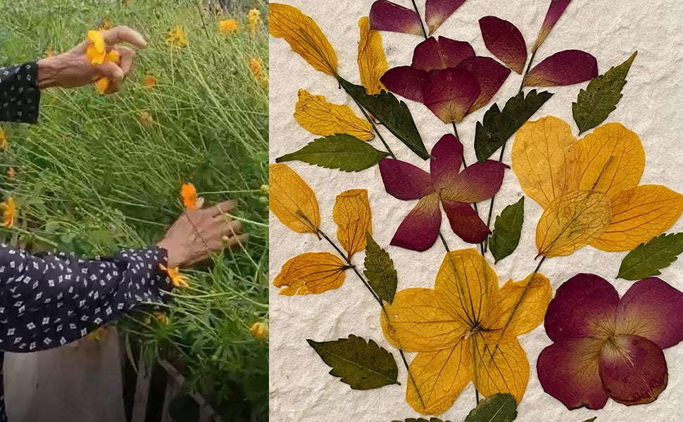 Handmade Mulberry Paper Greeting Card  5x7 Inch Random Pack (12 Surprise Cards)