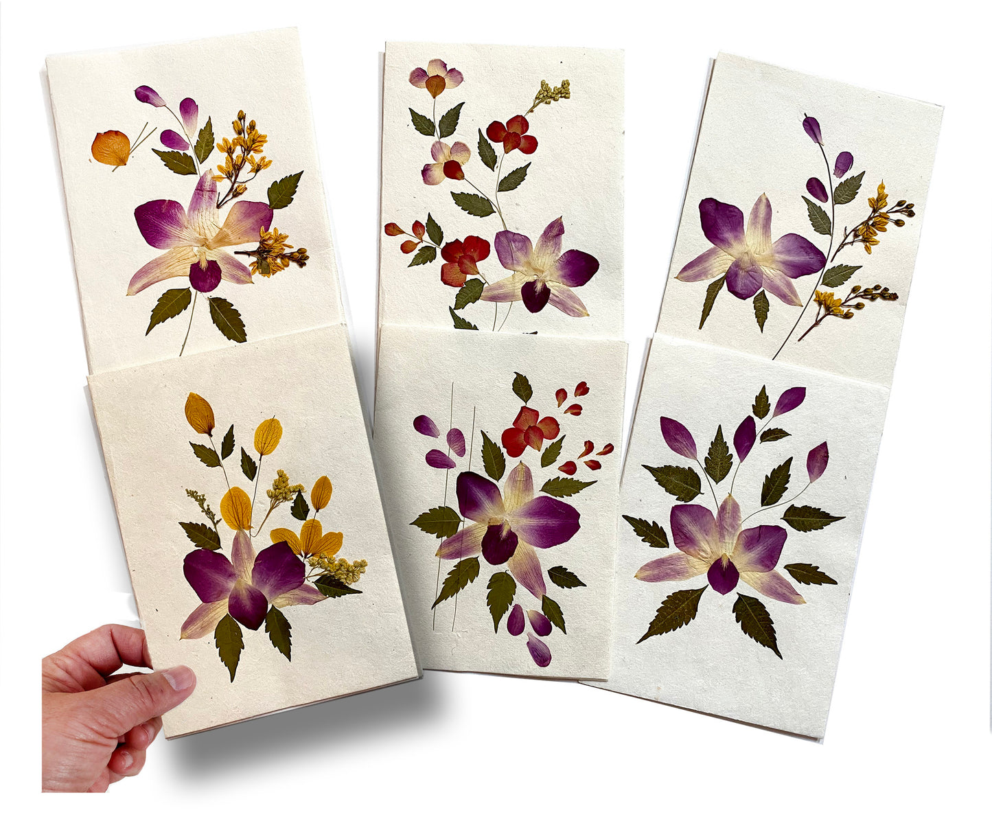 Handmade Cards 5x7 inch Real Dried Flowers Random Pack (3 Sonia Orchid)