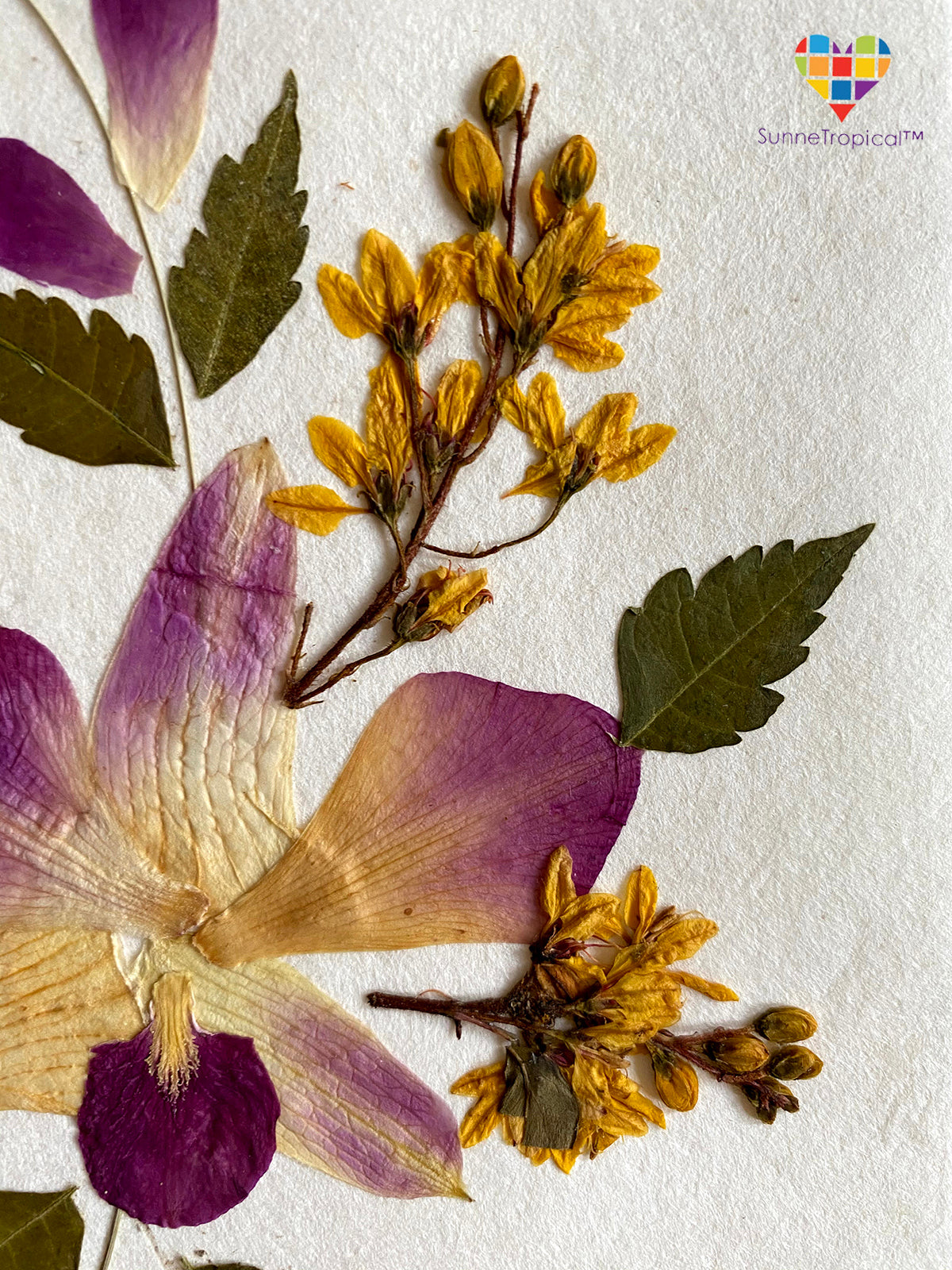 Handmade Cards 5x7 inch Real Dried Flowers Random Pack (3 Sonia Orchid)