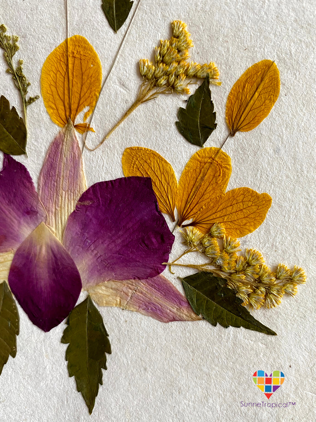 Handmade Cards 5x7 inch Real Dried Flowers Random Pack (3 Sonia Orchid)