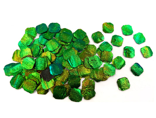 Jewel Beetle Wings UNDRILLED NO-HOLE 100 Pcs Natural Wings - Asscher Cushion 8 x 8 MM