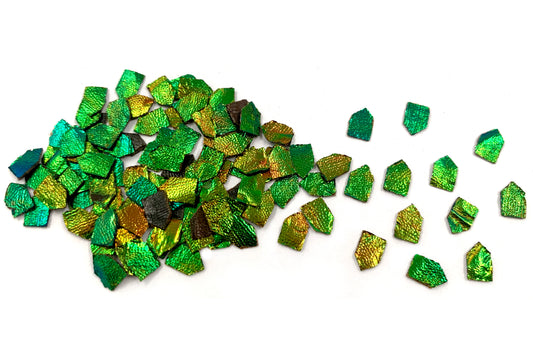 Jewel Beetle Wings UNDRILLED NO-HOLE 100 Pcs Natural Wings - Arrowhead Tile 6 x 8 MM