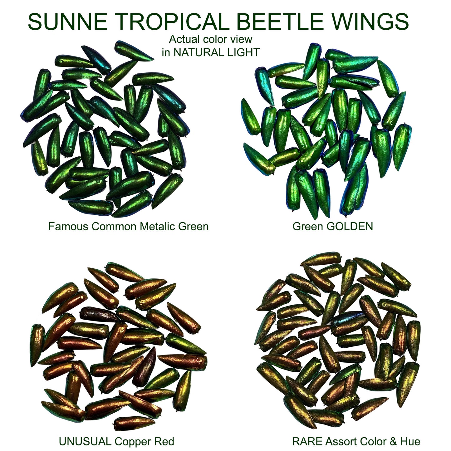 Jewel Beetle Wings UNDRILLED NO-HOLE 100 Pcs Natural Wings - Metallic Iridescent Green