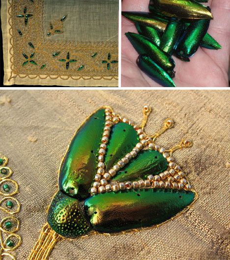 Jewel Beetle Wings DRILLED with HOLE 100 Pcs Natural Wings - Green TOP 2