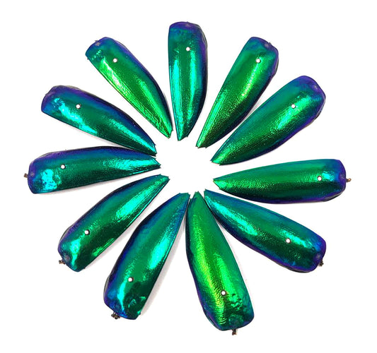 Jewel Beetle Wings DRILLED with HOLE 100 Pcs Natural Wings - Green TOP 2